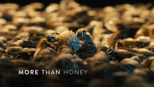 More than Honey - Bitterer Honig Bild 3