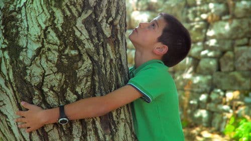 Jesus Loves Youssef Bild 3