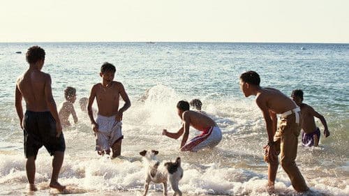 A Year of Hope Bild 1