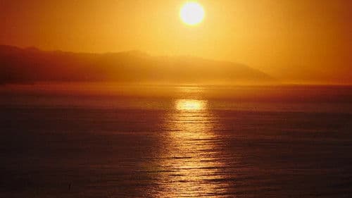 Surfing Morning of the Sun Bild 2