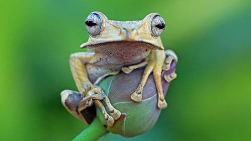 Unsere Erde der mysteriöse Planet Bild 1