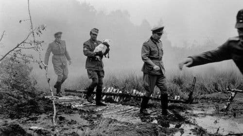 Akmens un šķembas Bild 2