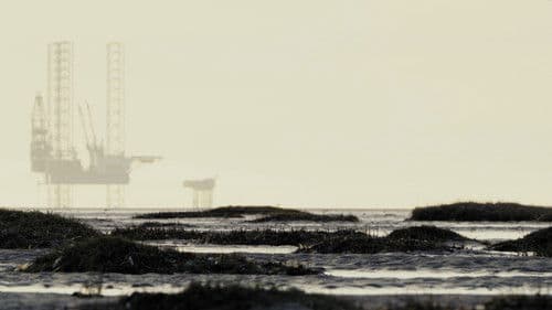 Lands Between Bild 1