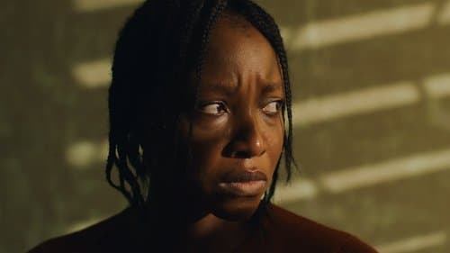 The Fire and the Moth Bild 1