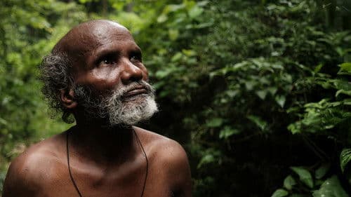 പാത്ത് Bild 1