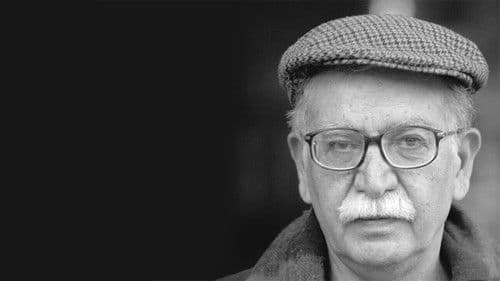 خورشید سال‌های ابری Bild 1