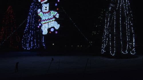 The Elephant's Present Bild 1