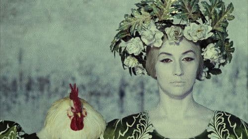 Die Farbe des Granatapfels Bild 3