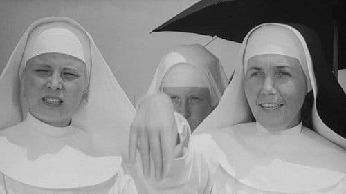 La vita provvisoria Bild 3