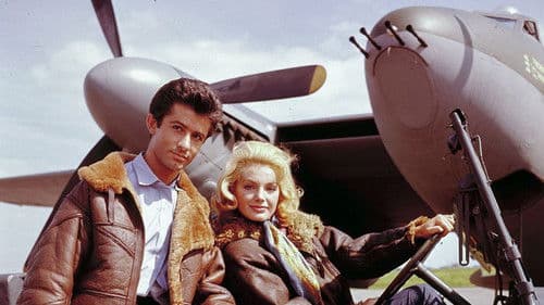 Kampfgeschwader 633 Bild 3