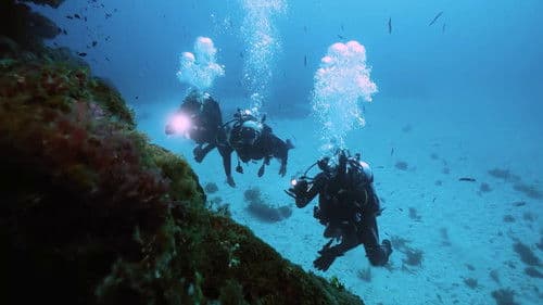 Chasing the Light: Norfolk Island Bild 5