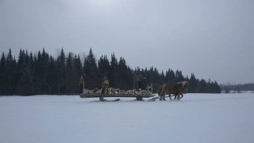 Le plancher des vaches Bild 5