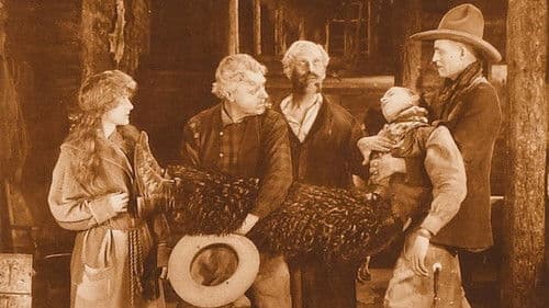 The Night Riders Bild 1