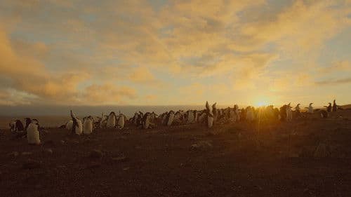 Unsere Erde 2 Bild 2