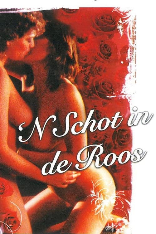 'n Schot in de roos