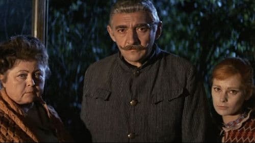 Familie Tóth Bild 4