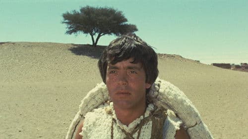 Edipo Re - Bett der Gewalt Bild 5