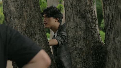 As The Sun Sets Bild 8