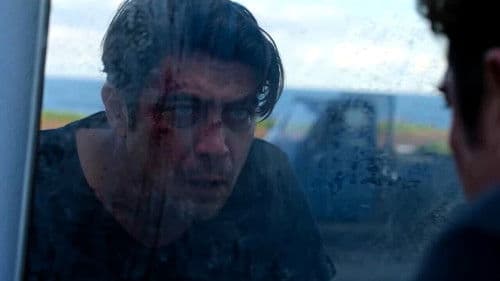 Verschwunden in die Nacht Bild 7