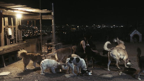 Чимээгүй хотын жолооч Bild 1