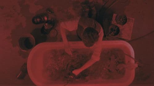 La macchina delle immagini di Alfredo C. Bild 1