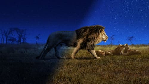 Die Welt in den Farben der Nacht Bild 7