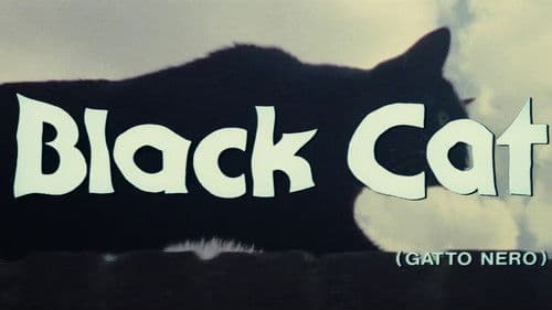 The Black Cat Bild 7