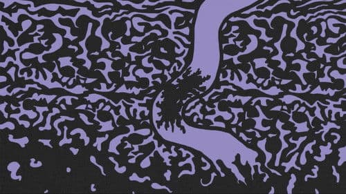 Kalikangiaroi Bild 1