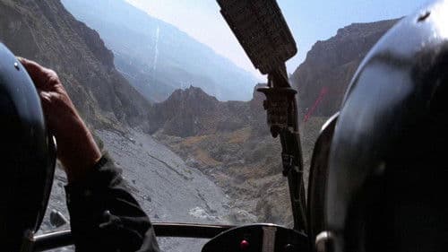 Im Visier des Falken Bild 8