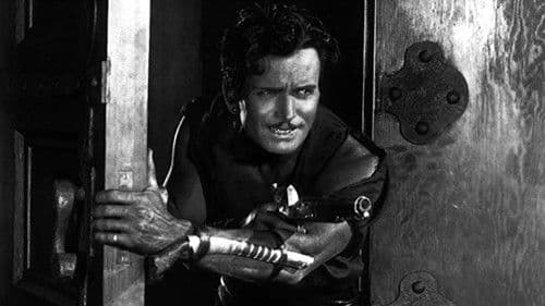 Der schwarze Pirat Bild 5