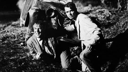 Vier Pfeifen Opium Bild 6