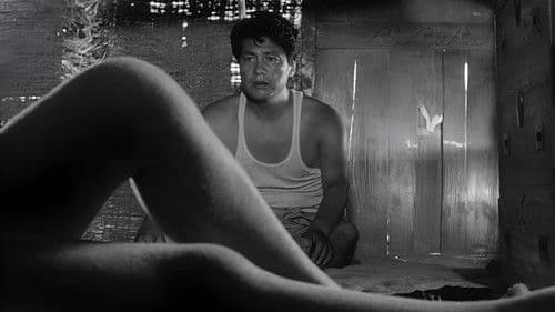 Die Frau in den Dünen Bild 5