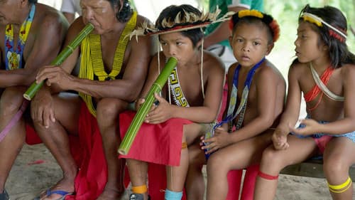 Amazonien - Die Stimmen des Waldes Bild 2