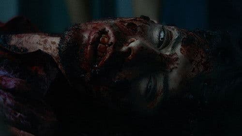 The Night of the Virgin Bild 2