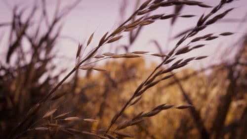 Geluid van het Einde Bild 1