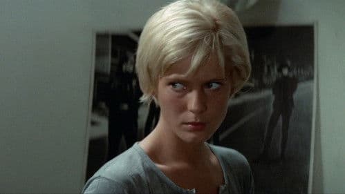 Die Straße nach Salina Bild 7