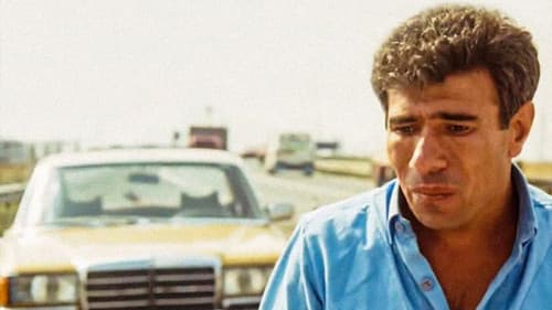 Sarı Mercedes Bild 1