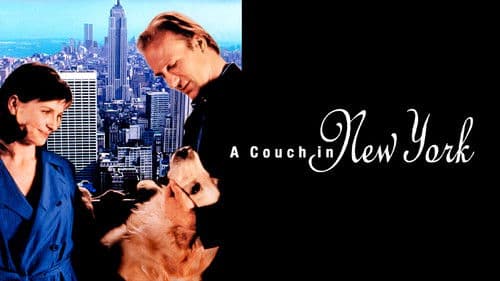 Eine Couch in New York Bild 8