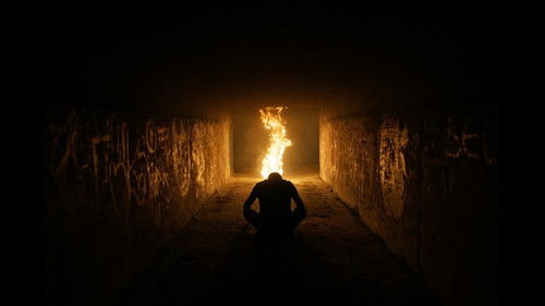 La Paloma y el Lobo Bild 3