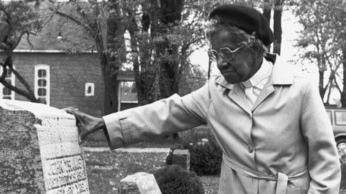 Older, Stronger, Wiser Bild 1