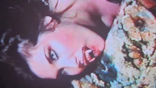 Vampire Tales Bild 7