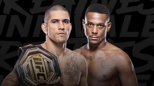 UFC 300: Pereira vs. Hill Bild 4