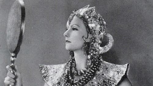 Wilde Orchideen Bild 3