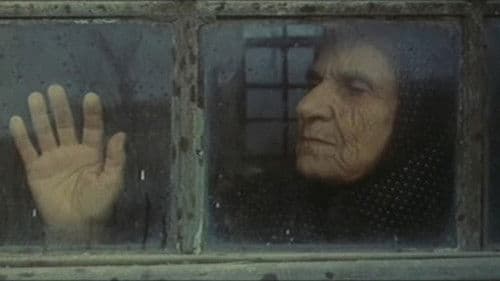 طبیعت بی‌جان Bild 1