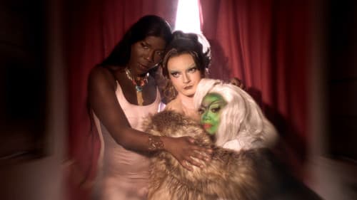 Funérailles d'un extraterrestre Bild 2