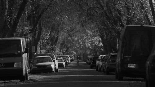 Resting Bike Face Bild 1