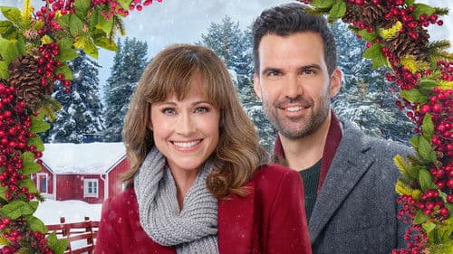 Cranberry Christmas Bild 8