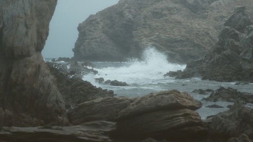 ΠΙΤΥΛΟΣ Bild 3