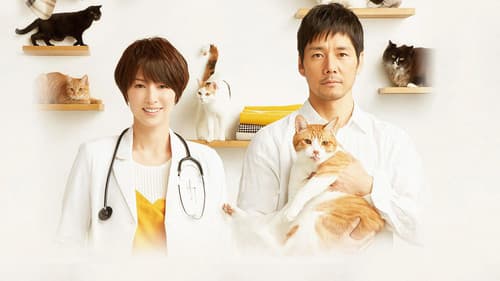 ブランケット・キャッツ Bild 1