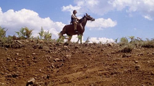 Töte, Django Bild 8